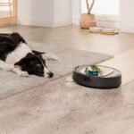 Conga 7690 Immortal Max M - Image 7