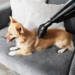 Conga Immortal 22,2 Animal Hand X-Treme - Imagen 7