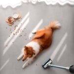 Conga Rockstar 1600 Advance - Image 8