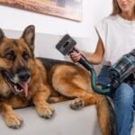 Conga Rockstar 2500 Thunder Flex Animal - Imagen 8