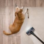 Conga Rockstar 2500 X-Treme - Imagen 4