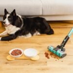 Conga Rockstar 3500 Storm Flex Animal - Imagen 3