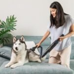 Conga Rockstar Micro+ Animal X-Treme - Imagen 6