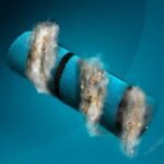 Conga Rockstar Premium Ultra4 - Image 6