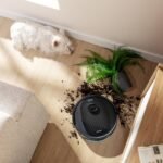 Conga Y80 One - Image 7